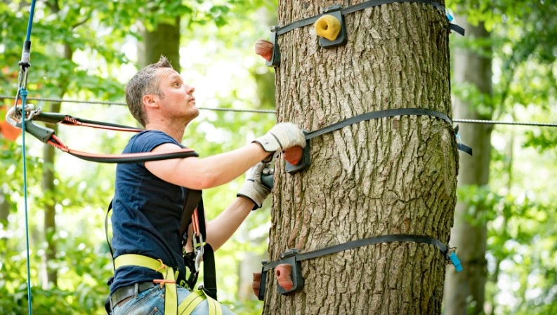 Waterkamp Karriere Werte 3