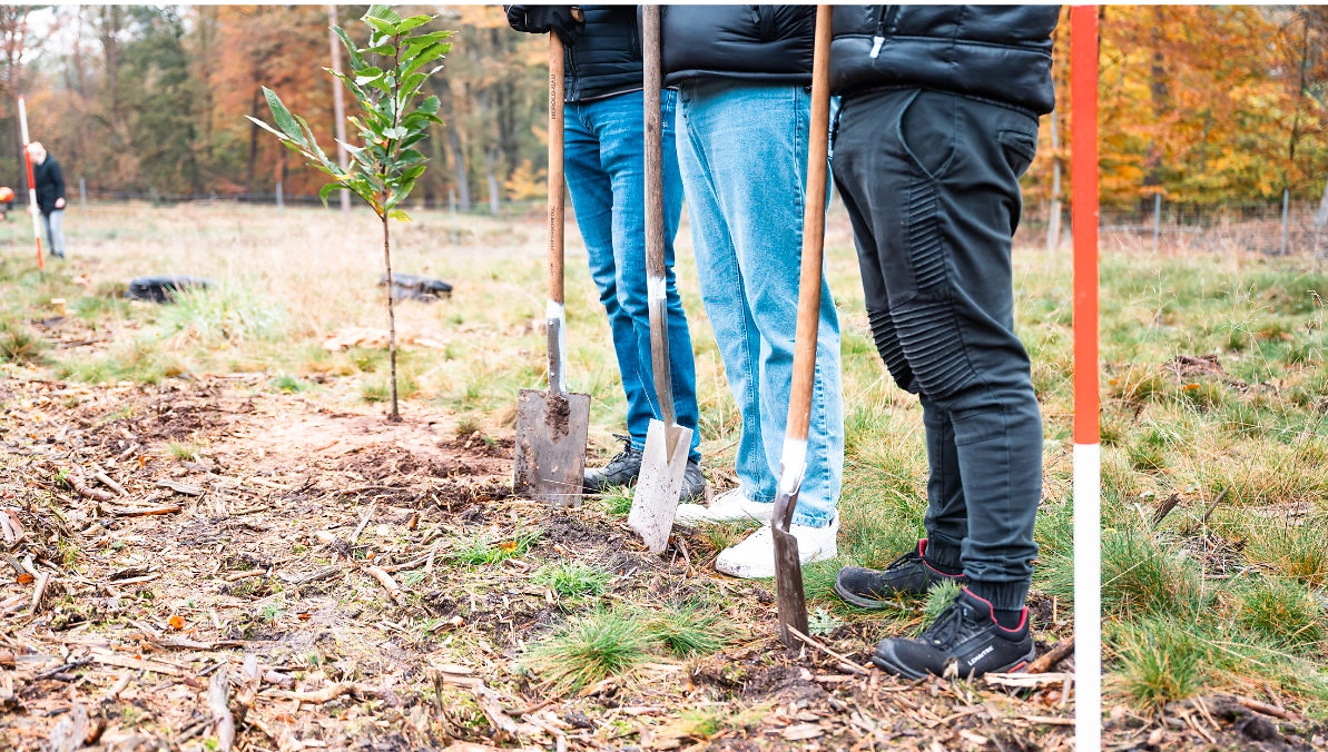 waterkamp nachhaltigkeit baumpflanzaktionen 6 waterkamp nachhaltigkeit baumpflanzaktionen 6