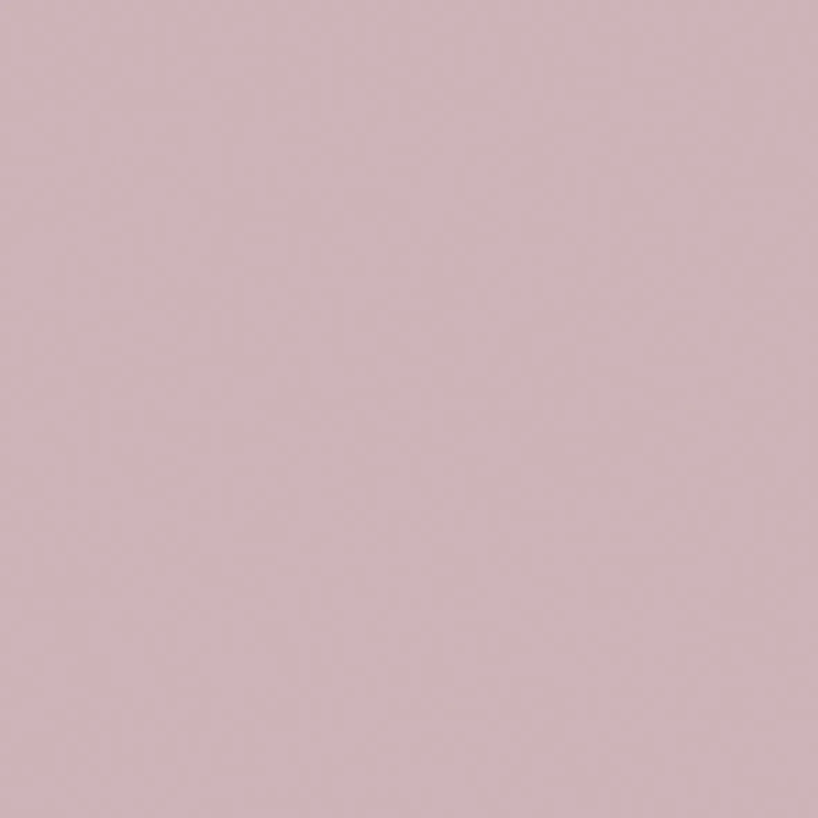 Pfleiderer Dekorspanplatte U17501 SD ,