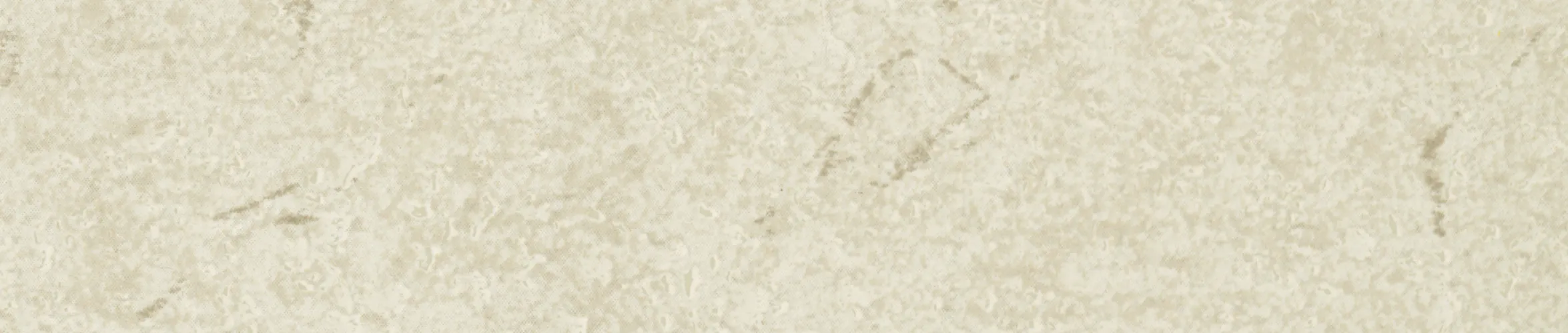 ABS Kanten F2281 CMS