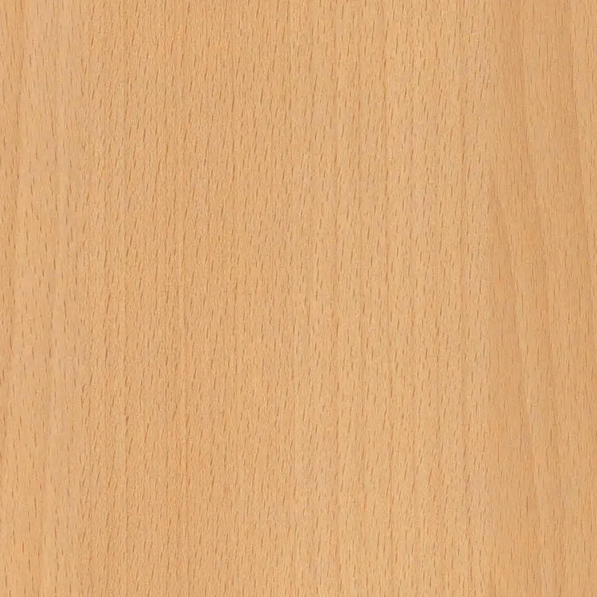 2x23mm ABS-Kante Pfleiderer R24006 VV