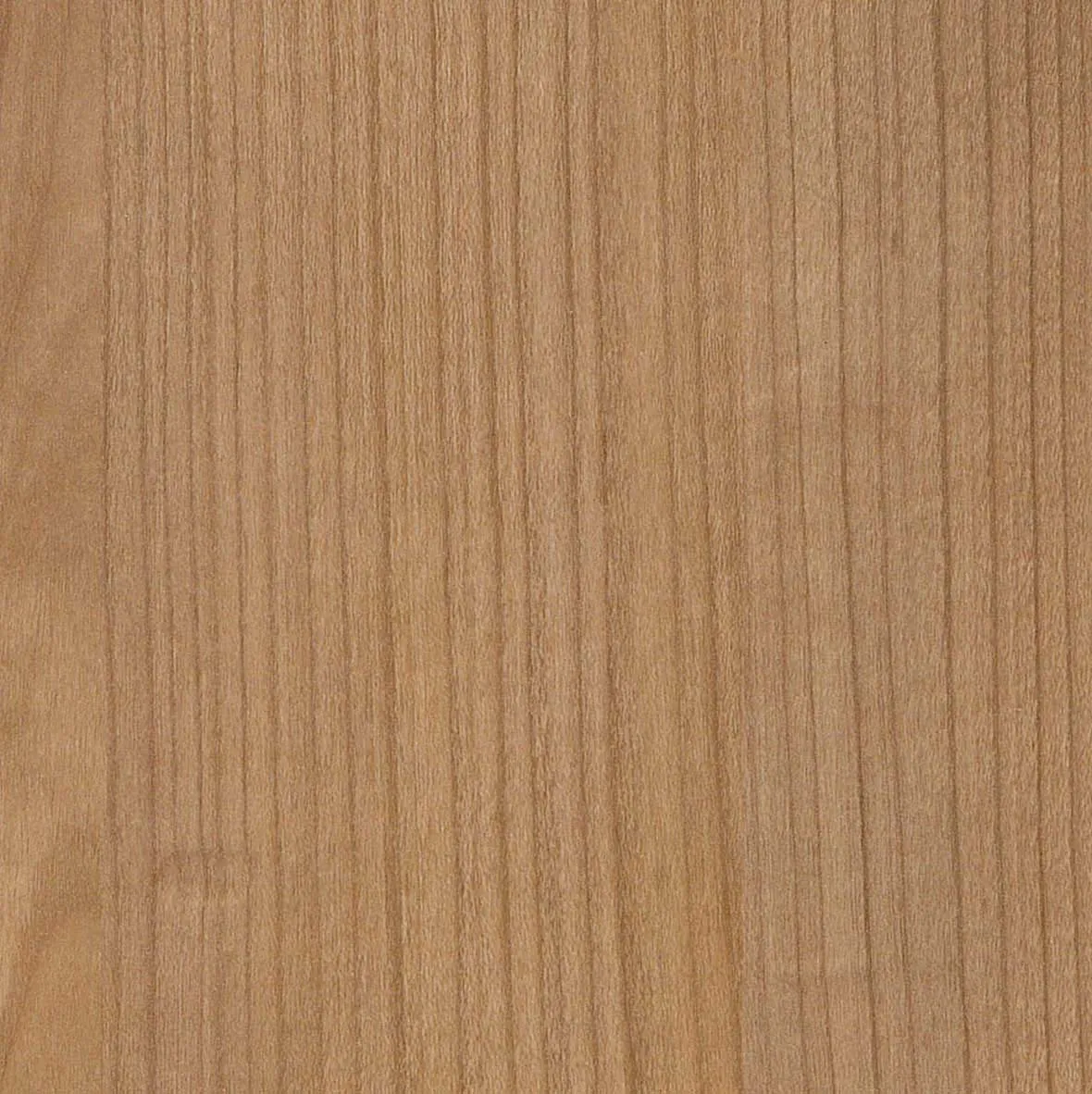 2x23mm ABS-Kante Pfleiderer R42006 FL