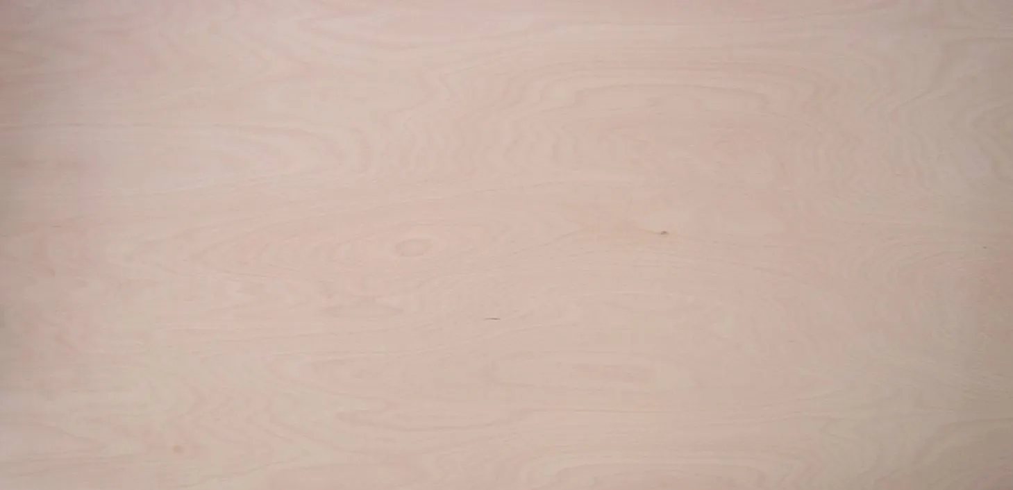 Buche Multiplex B/BB